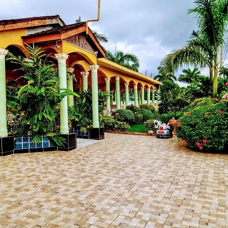 Chateau Margarita Ja Montego Bay Exterior photo